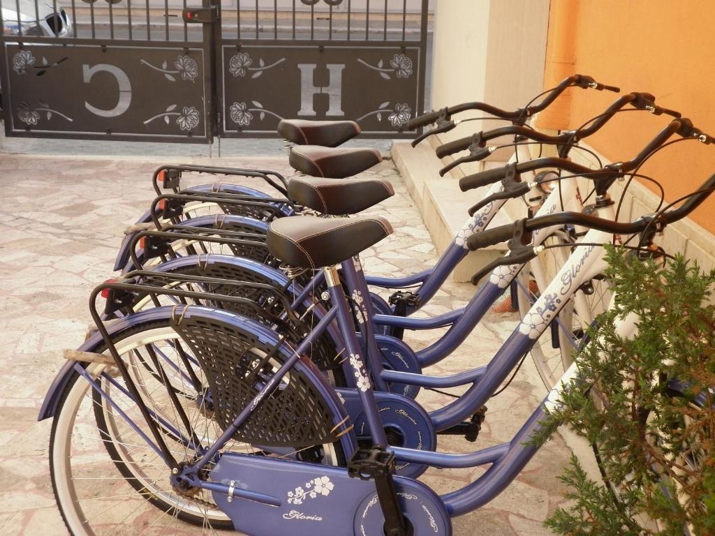 Hotel Cristall San Benedetto del Tronto Eksteriør billede